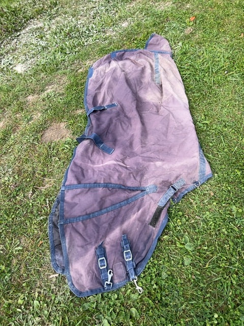Blue Canadian Horsewear Maxim Rainsheet with adjustable gusset, 81”