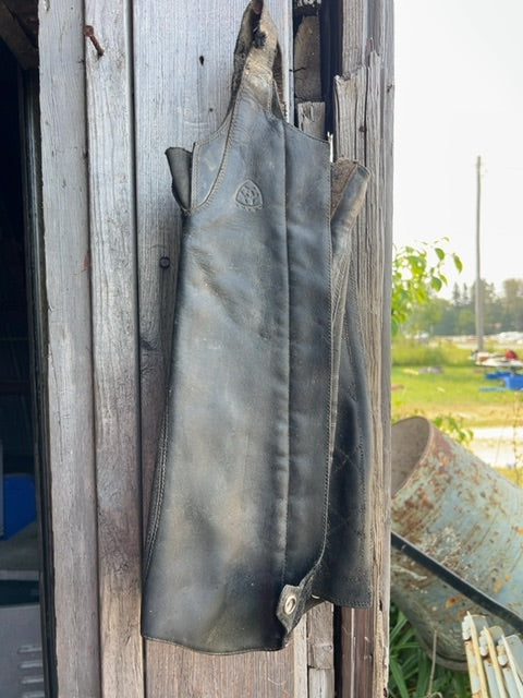 Black Ariat Classic II Half Chaps, Small