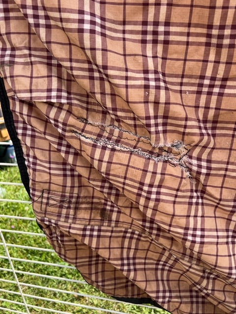 Beige Plaid  Plaid Winter, 74"