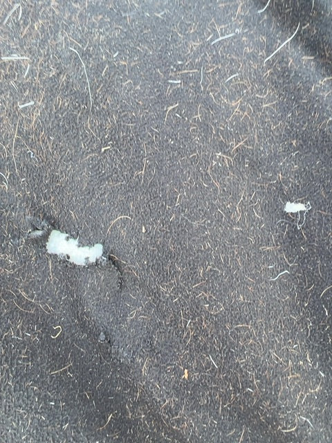 Navy Bucas Smartex Winter Turnout, 81"