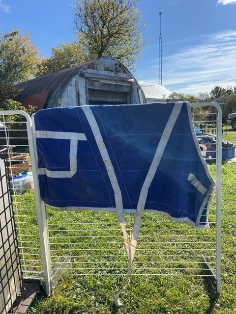 Blue  Stable Sheet, 56"