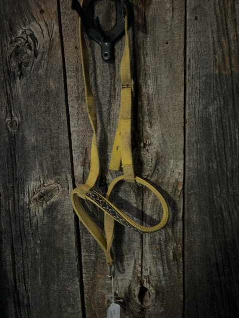 Yellow with Black on Nose  Tie Down