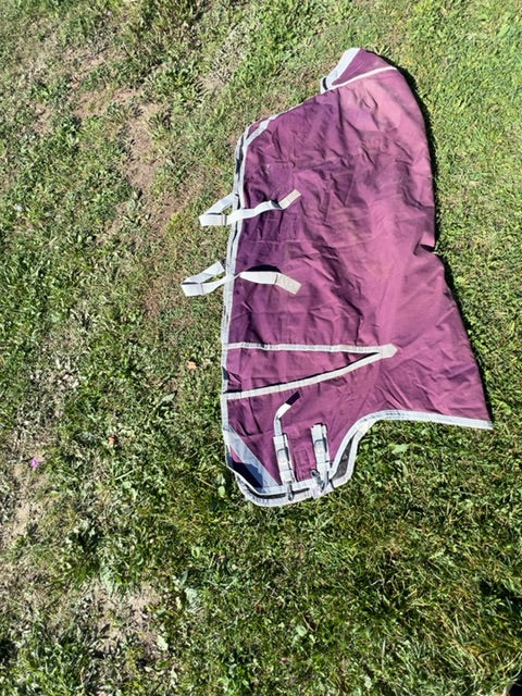 Purple Canadian Horsewear Maxim Winter Turnout, 72