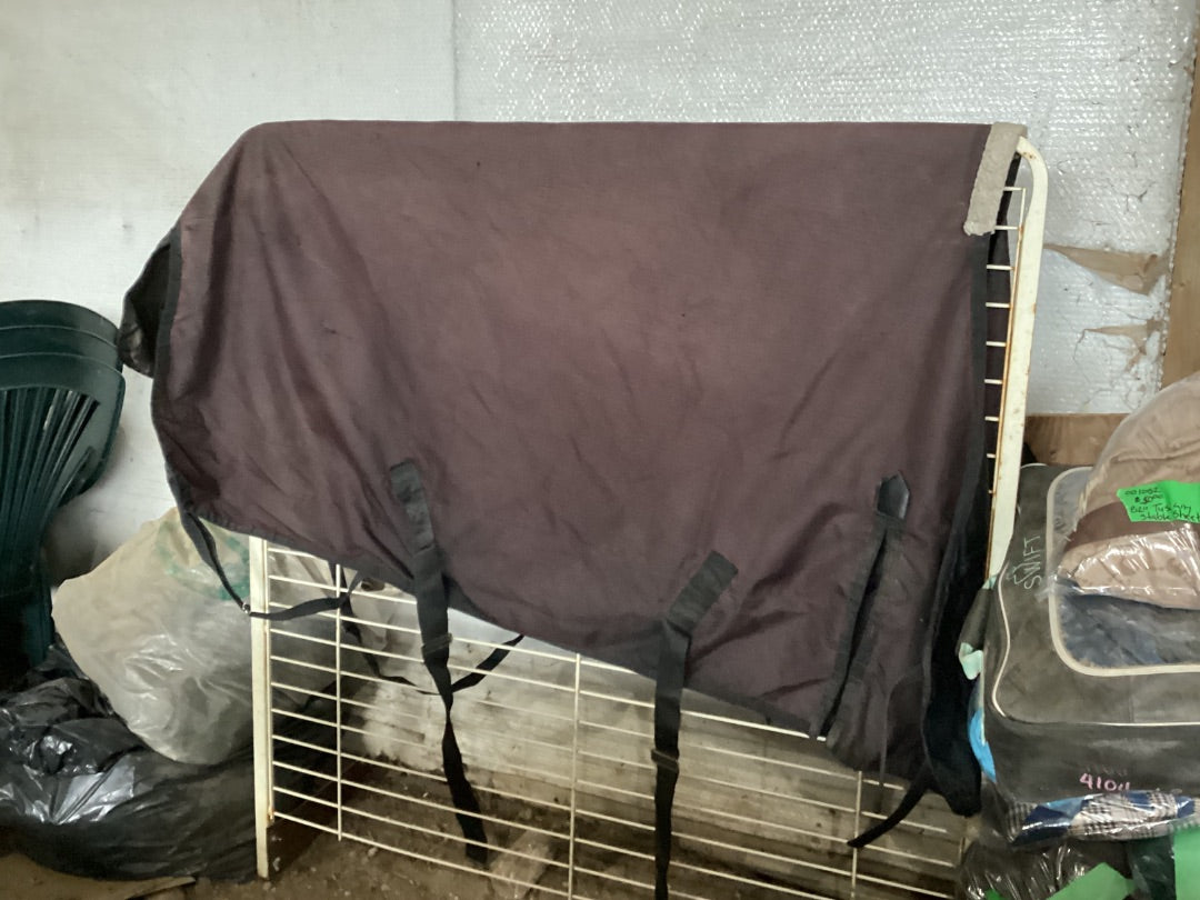 Black Saxon Winter Turnout, 69”