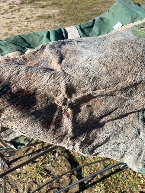 Green Brubachers Sherpa Lined Stable, 74"