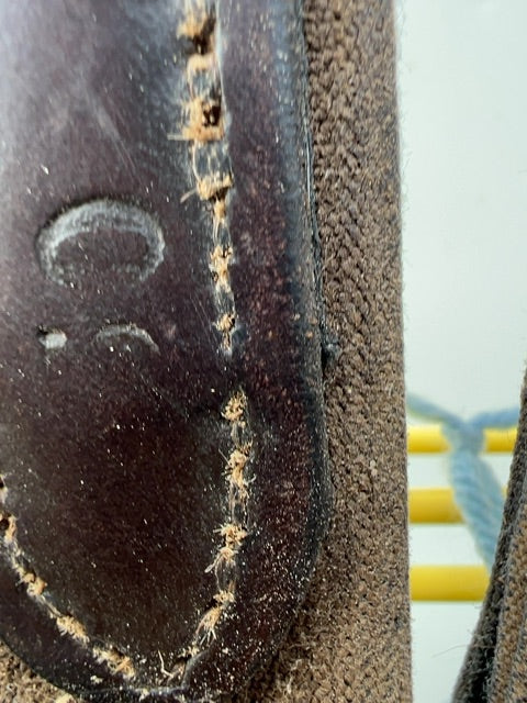 Havanna Logic by County Ergo Girth, 50"