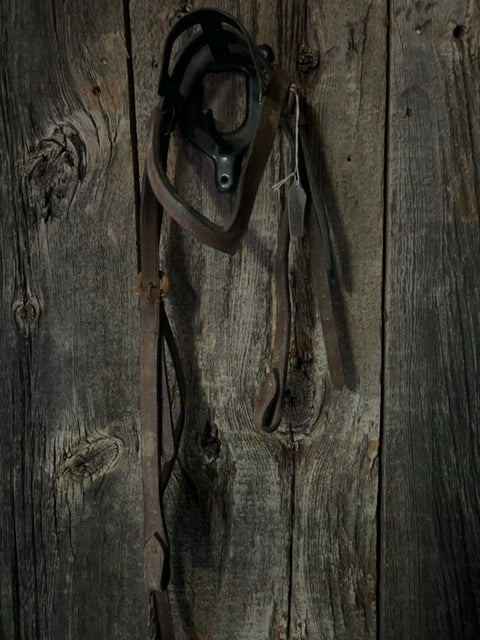 Brown  Headstall with V Browband