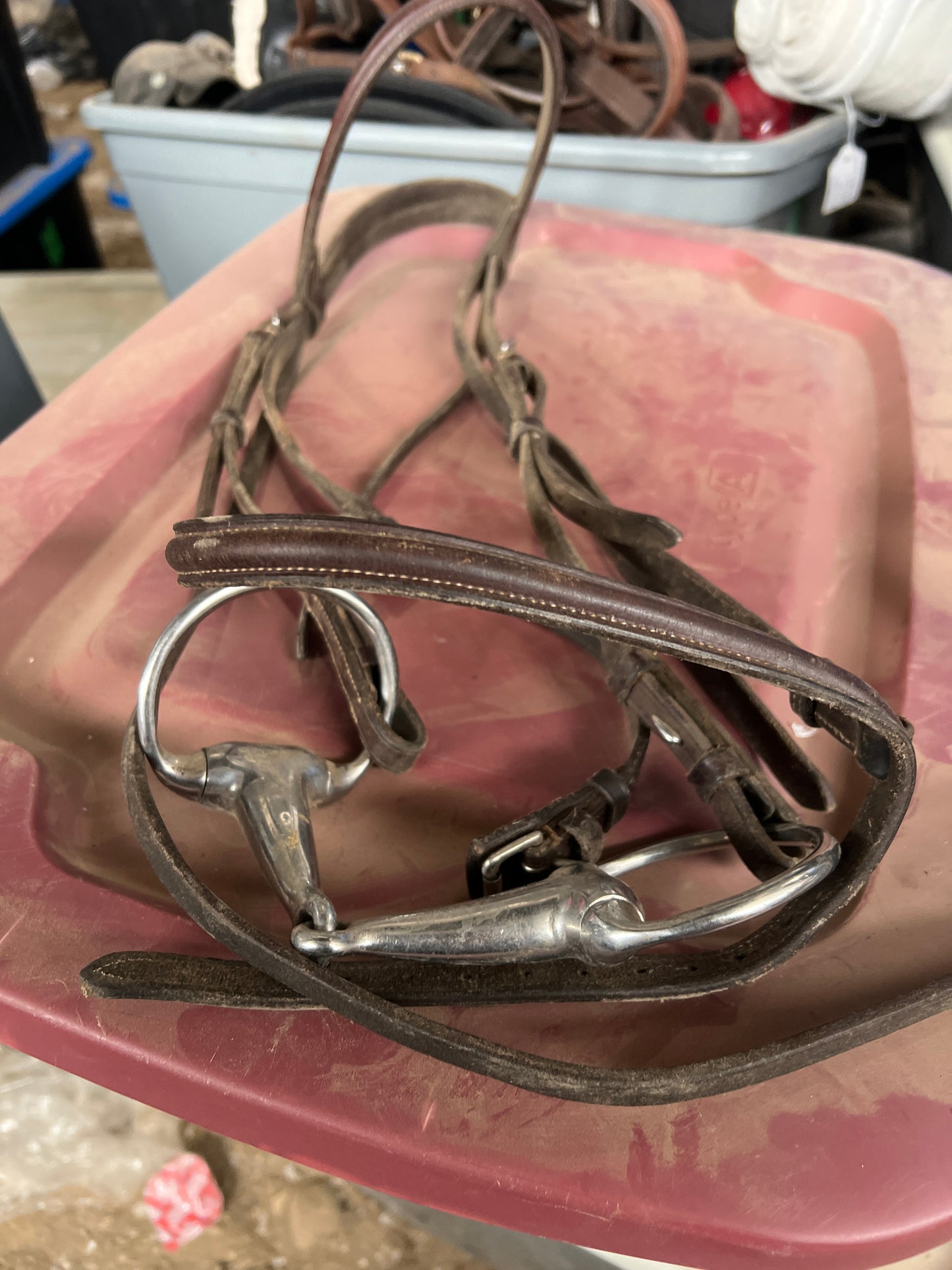 Headstall, Warmblood