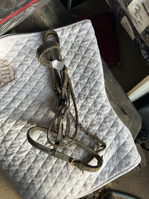 Black with Brass  Headstall