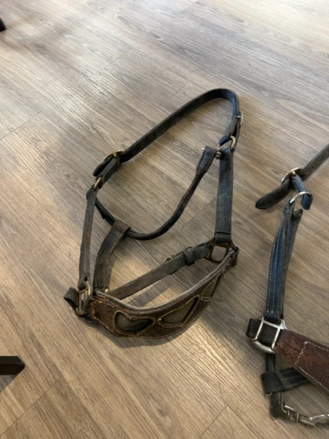 Bronc noseband halter
