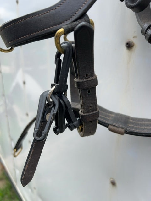 Dk brown Micklem Bridle, Horse