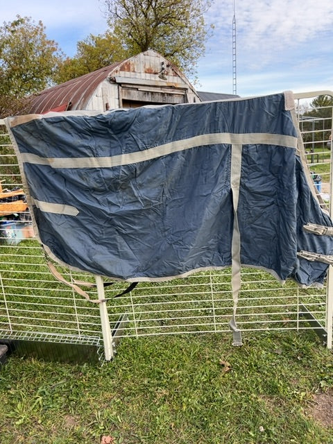 Blue Equistar Stable, 78