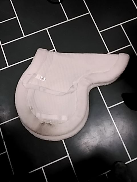 White  Hunter pad, Full