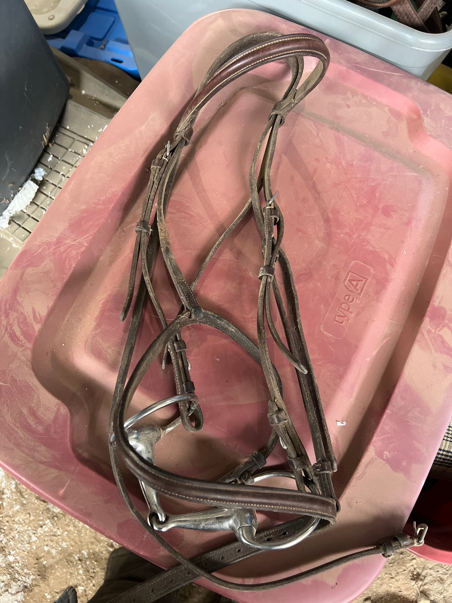 Headstall, Warmblood