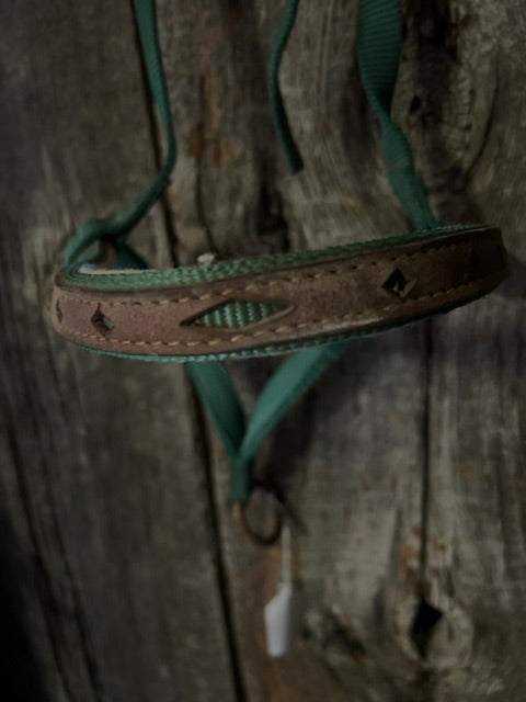 Green with leather on nose  Tie down