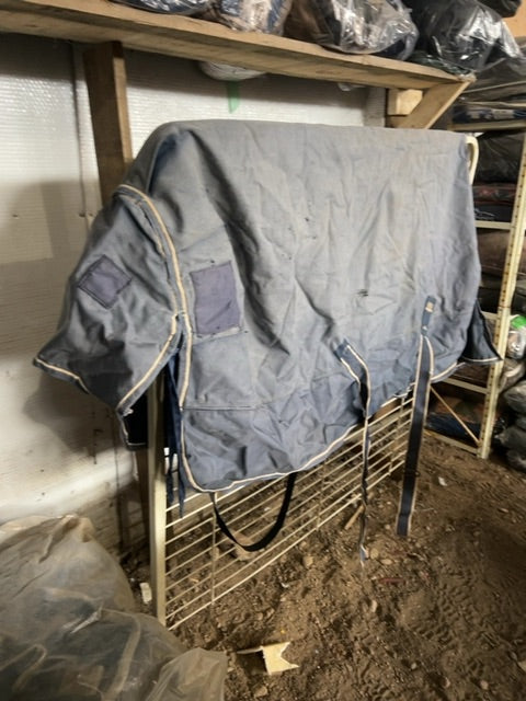 Blue Canadian Horsewear Maxim Winter Turnout, 66”