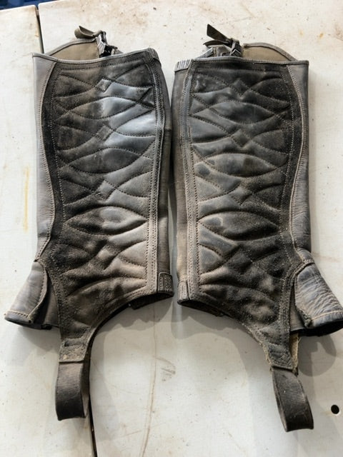 Black Ariat Classic III Half Chaps, Medium