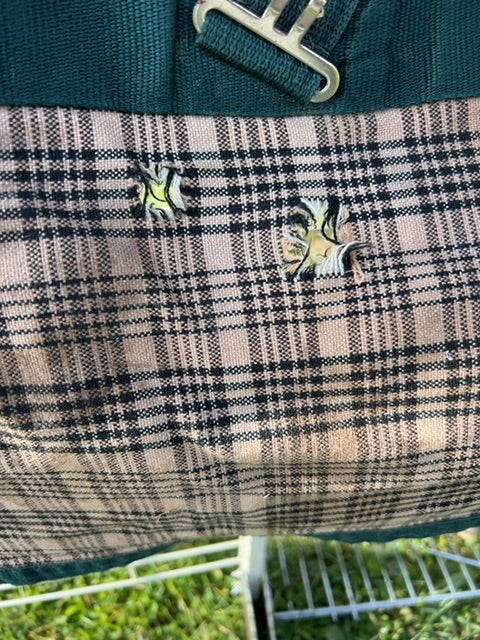 Baker Plaid  Sheet, 78"