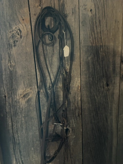 One Ear Bridle with 5" bit, Full