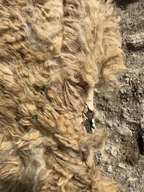 Brown  Leather Belly Girth, 51"