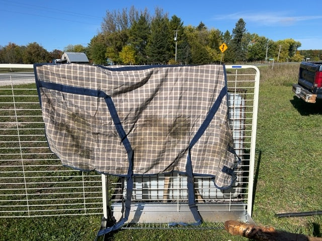 Baker Plaid Shedrow Stable Sheet, 76