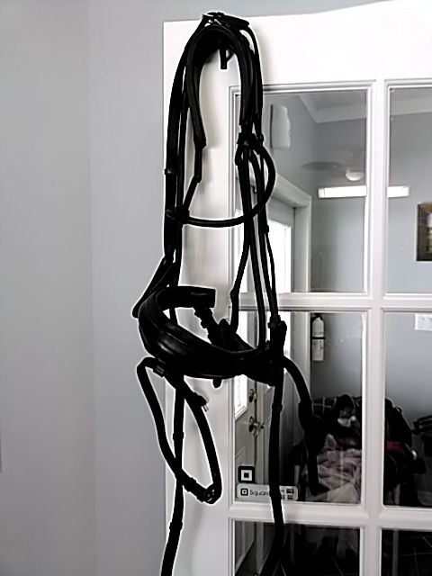 Black Solo Bridle with reins, Full