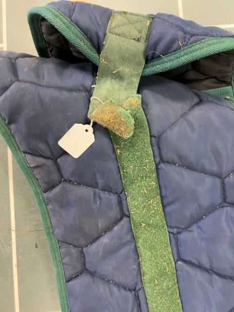 Blue Shedrow Foal, Large