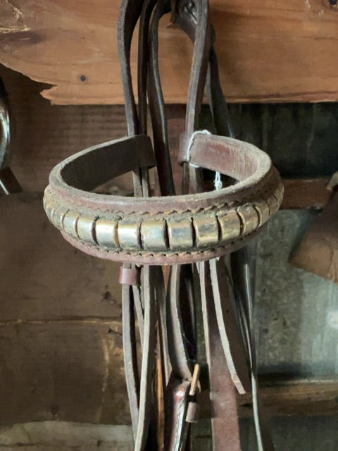 Brown  Bridle with loosering, Full