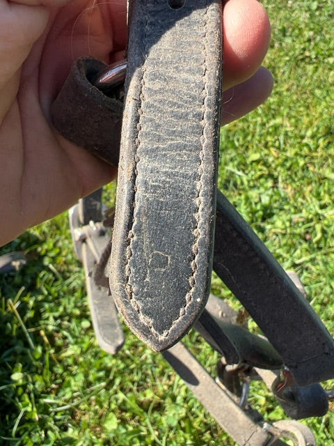 Leather Halter, Pony