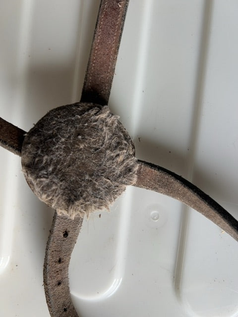 Brown  Figure 8 Noseband, Horse