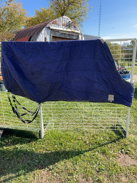 Blue Century Stable, 72