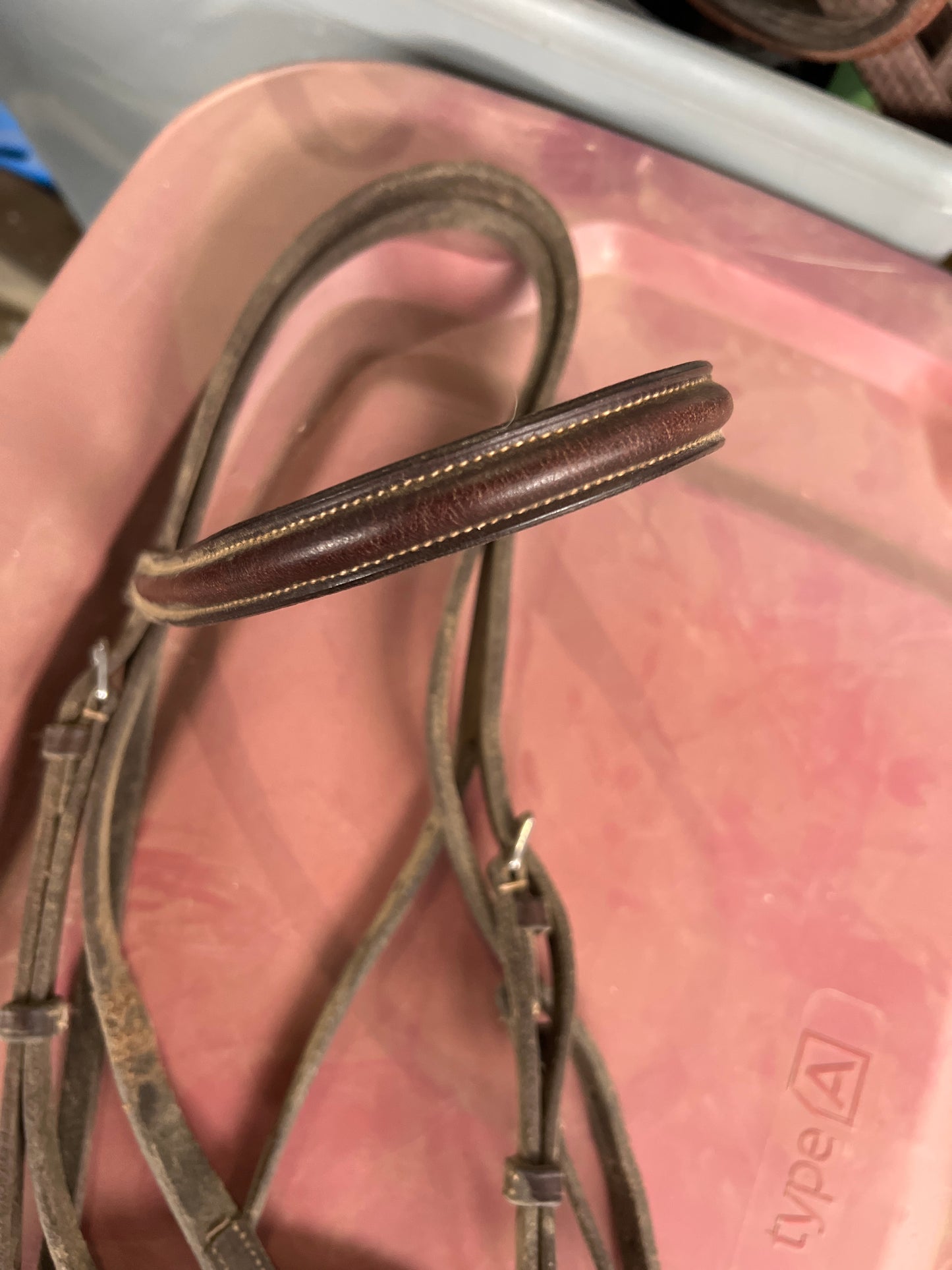 Headstall, Warmblood