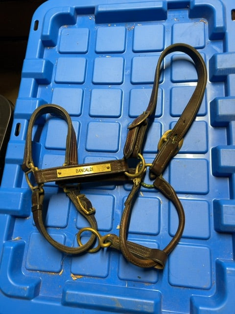 Bilyea Harness Leather Halter, Full