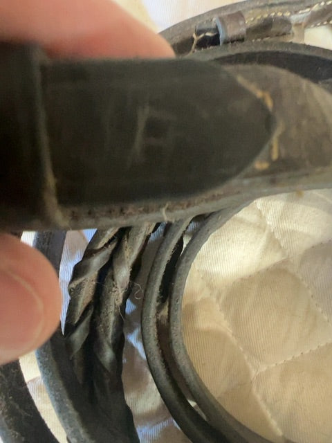 Brown  Laced Reins, Full