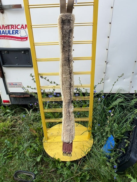 Oak Edgewood Girth, 50"