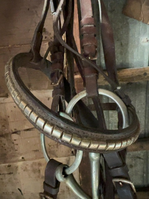 Brown  Bridle with loosering, Full