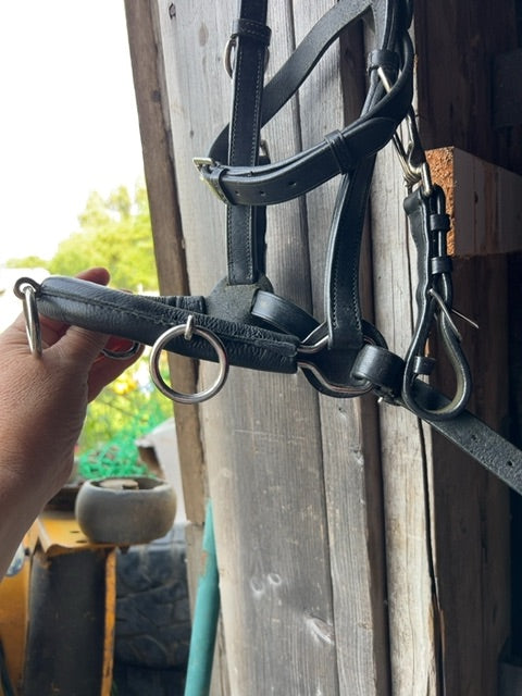 Black Kieffer Lunging Cavesson, Full