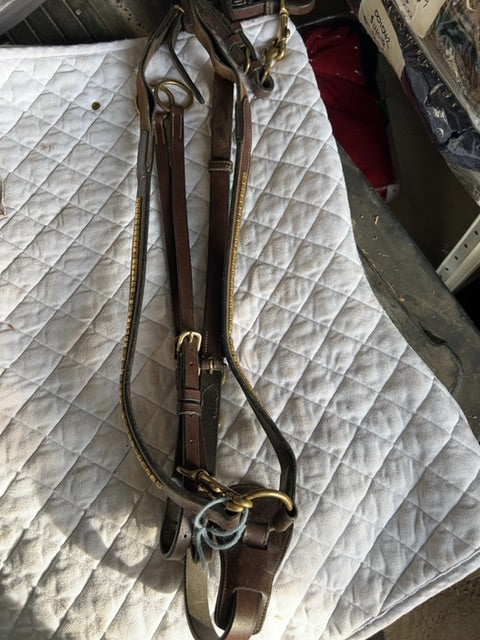 Brown with Brass Equipe Martingale with Running Att, Full