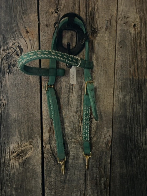 Green with White  Headstall
