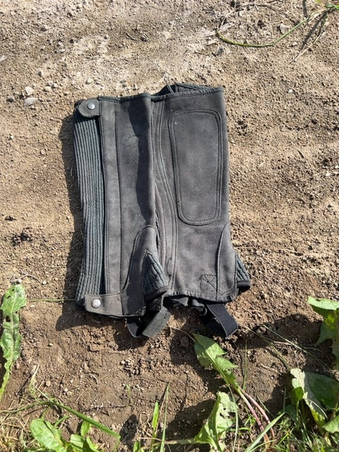 Black  Half Chaps, Medium
