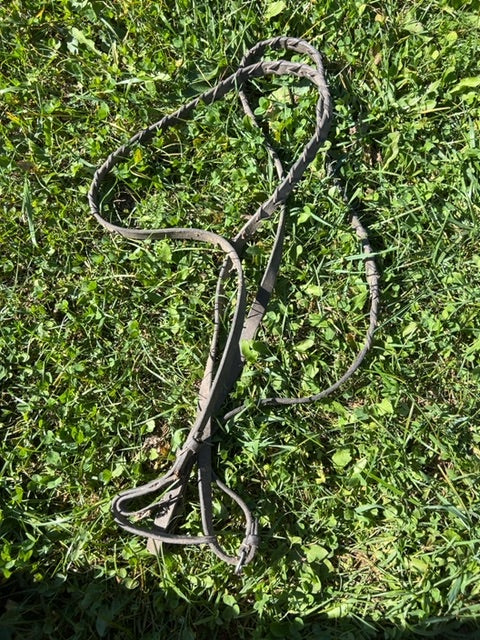 Laced Reins