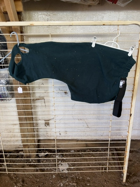 Green The Horse Closet Mini Polar Fleece Hood, Large