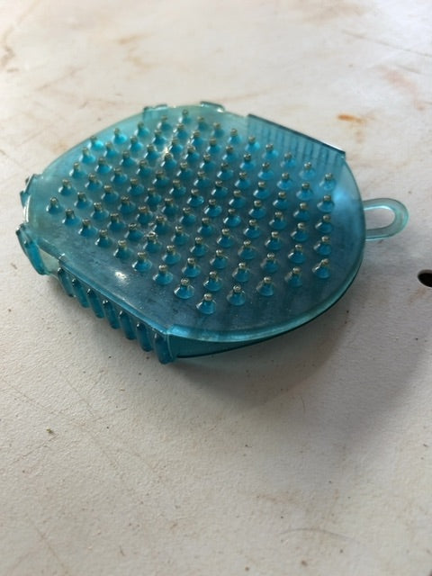 Blue  Jelly Curry