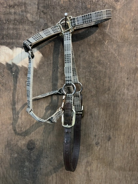 Baker Breakaway Halter, Horse