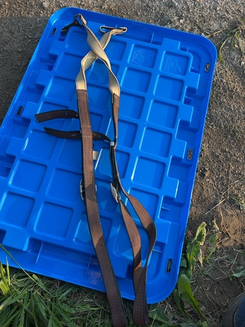 Brown  Elastic Side Reins, Pony