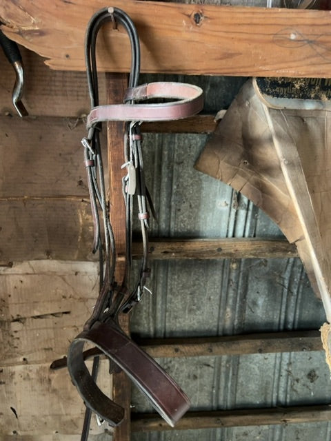 Dk Brown  Bridle, Oversize