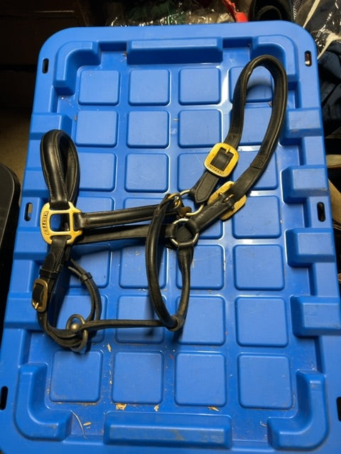 Black Kieffer Leather Halter, Warmblood