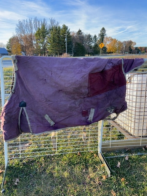 Purple Saxon Winter, 75